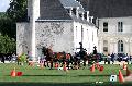 Photo n 34455&#10;Gruchet-Le-Valasse 2015. Photo Chevalandrieu&#10;Catherine RECHER&#10;Affiche 17 fois&#10;Ajoute le 24/08/2015 15:26:01 par Nadinetoudic&#10;&#10;--> Cliquer pour agrandir <--