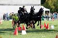 Photo n 34459&#10;Gruchet-Le-Valasse 2015. Photo Chevalandrieu&#10;Andr FRANCOIS&#10;Affiche 31 fois&#10;Ajoute le 24/08/2015 15:26:02 par Nadinetoudic&#10;&#10;--> Cliquer pour agrandir <--