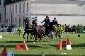Photo n 34461&#10;Gruchet-Le-Valasse 2015. Photo Chevalandrieu&#10;Daniel DIMER&#10;Affiche 44 fois&#10;Ajoute le 24/08/2015 15:26:02 par Nadinetoudic&#10;&#10;--> Cliquer pour agrandir <--