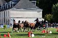 Photo n 34465&#10;Gruchet-Le-Valasse 2015. Photo Chevalandrieu&#10;Fabrice MARTIN&#10;Affiche 27 fois&#10;Ajoute le 24/08/2015 15:26:03 par Nadinetoudic&#10;&#10;--> Cliquer pour agrandir <--