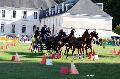 Photo n 34466&#10;Gruchet-Le-Valasse 2015. Photo Chevalandrieu&#10;Patrice LEMARCIS&#10;Affiche 54 fois&#10;Ajoute le 24/08/2015 15:27:13 par Nadinetoudic&#10;&#10;--> Cliquer pour agrandir <--