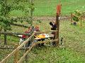 Photo n 34726&#10;CAI le PIN 2015&#10;&#10;Affiche 26 fois&#10;Ajoute le 29/08/2015 17:26:12 par JeanClaudeGrognet&#10;&#10;--> Cliquer pour agrandir <--