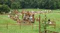 Photo n 34727&#10;CAI le PIN 2015&#10;&#10;Affiche 33 fois&#10;Ajoute le 29/08/2015 17:26:12 par JeanClaudeGrognet&#10;&#10;--> Cliquer pour agrandir <--