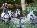 Photo n 34836&#10;COMPIEGNE le retour de Nicolas Clair&#10;&#10;Affiche 56 fois&#10;Ajoute le 30/08/2015 17:50:30 par JeanClaudeGrognet&#10;&#10;--> Cliquer pour agrandir <--