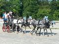 Photo n 34838&#10;COMPIEGNE le retour de Nicolas Clair&#10;&#10;Affiche 65 fois&#10;Ajoute le 30/08/2015 17:50:30 par JeanClaudeGrognet&#10;&#10;--> Cliquer pour agrandir <--