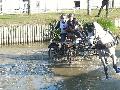 Photo n 34841&#10;COMPIEGNE 2015&#10;&#10;Affiche 82 fois&#10;Ajoute le 30/08/2015 19:48:42 par JeanClaudeGrognet&#10;&#10;--> Cliquer pour agrandir <--
