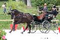 Photo n 35136&#10;CAI Le PIN 2015. Photo Chevalandrieu&#10;Franz SCHILTZ. Luxembourg&#10;Affiche 24 fois&#10;Ajoute le 19/09/2015 17:25:02 par Nadinetoudic&#10;&#10;--> Cliquer pour agrandir <--