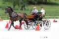 Photo n 35137&#10;CAI Le PIN 2015. Photo Chevalandrieu&#10;Mark WENTEIN. Belgique&#10;Affiche 24 fois&#10;Ajoute le 19/09/2015 17:25:02 par Nadinetoudic&#10;&#10;--> Cliquer pour agrandir <--