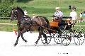Photo n 35138&#10;CAI Le PIN 2015. Photo Chevalandrieu&#10;Mark WENTEIN. Belgique&#10;Affiche 16 fois&#10;Ajoute le 19/09/2015 17:25:02 par Nadinetoudic&#10;&#10;--> Cliquer pour agrandir <--