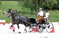 Photo n 35140&#10;CAI Le PIN 2015. Photo Chevalandrieu&#10;Jean-Michel DELHAUTEUR. Belgique&#10;Affiche 20 fois&#10;Ajoute le 19/09/2015 17:25:02 par Nadinetoudic&#10;&#10;--> Cliquer pour agrandir <--