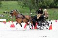 Photo n 35142&#10;CAI Le PIN 2015. Photo Chevalandrieu&#10;Jane SMITH. Grande-Bretagne&#10;Affiche 14 fois&#10;Ajoute le 19/09/2015 17:25:02 par Nadinetoudic&#10;&#10;--> Cliquer pour agrandir <--