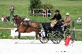Photo n 35143&#10;CAI Le PIN 2015. Photo Chevalandrieu&#10;Jane SMITH. Grande-Bretagne&#10;Affiche 15 fois&#10;Ajoute le 19/09/2015 17:25:02 par Nadinetoudic&#10;&#10;--> Cliquer pour agrandir <--