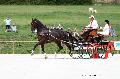 Photo n 35144&#10;CAI Le PIN 2015. Photo Chevalandrieu&#10;Guy COLLETTE. Belgique&#10;Affiche 23 fois&#10;Ajoute le 19/09/2015 17:25:02 par Nadinetoudic&#10;&#10;--> Cliquer pour agrandir <--
