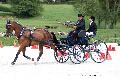 Photo n 35147&#10;CAI Le PIN 2015. Photo Chevalandrieu&#10;Joop GOMMERS. Pays-Bas&#10;Affiche 16 fois&#10;Ajoute le 21/09/2015 19:03:01 par Nadinetoudic&#10;&#10;--> Cliquer pour agrandir <--