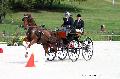 Photo n 35149&#10;CAI Le PIN 2015. Photo Chevalandrieu&#10;Isabelle DASOUL. Belgique&#10;Affiche 23 fois&#10;Ajoute le 21/09/2015 19:03:02 par Nadinetoudic&#10;&#10;--> Cliquer pour agrandir <--
