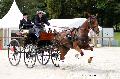Photo n 35150&#10;CAI Le PIN 2015. Photo Chevalandrieu&#10;Isabelle DASOUL. Belgique&#10;Affiche 26 fois&#10;Ajoute le 21/09/2015 19:03:02 par Nadinetoudic&#10;&#10;--> Cliquer pour agrandir <--