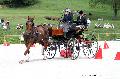 Photo n 35151&#10;CAI Le PIN 2015. Photo Chevalandrieu&#10;Isabelle DASOUL. Belgique&#10;Affiche 27 fois&#10;Ajoute le 21/09/2015 19:03:02 par Nadinetoudic&#10;&#10;--> Cliquer pour agrandir <--