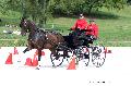 Photo n 35152&#10;CAI Le PIN 2015. Photo Chevalandrieu&#10;Renaud VINCK. France&#10;Affiche 26 fois&#10;Ajoute le 21/09/2015 19:03:02 par Nadinetoudic&#10;&#10;--> Cliquer pour agrandir <--