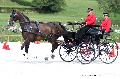 Photo n 35153&#10;CAI Le PIN 2015. Photo Chevalandrieu&#10;Renaud VINCK. France&#10;Affiche 36 fois&#10;Ajoute le 21/09/2015 19:03:02 par Nadinetoudic&#10;&#10;--> Cliquer pour agrandir <--