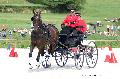 Photo n 35154&#10;CAI Le PIN 2015. Photo Chevalandrieu&#10;Renaud VINCK. France&#10;Affiche 50 fois&#10;Ajoute le 21/09/2015 19:03:02 par Nadinetoudic&#10;&#10;--> Cliquer pour agrandir <--