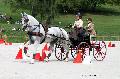 Photo n 35155&#10;CAI Le PIN 2015. Photo Chevalandrieu&#10;Anne-Violaine BRISOU. France&#10;Affiche 29 fois&#10;Ajoute le 21/09/2015 19:03:02 par Nadinetoudic&#10;&#10;--> Cliquer pour agrandir <--