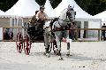 Photo n 35156&#10;CAI Le PIN 2015. Photo Chevalandrieu&#10;Anne-Violaine BRISOU. France&#10;Affiche 38 fois&#10;Ajoute le 21/09/2015 19:03:02 par Nadinetoudic&#10;&#10;--> Cliquer pour agrandir <--
