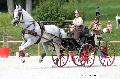 Photo n 35158&#10;CAI Le PIN 2015. Photo Chevalandrieu&#10;Anne-Violaine BRISOU. France&#10;Affiche 111 fois&#10;Ajoute le 21/09/2015 19:03:02 par Nadinetoudic&#10;&#10;--> Cliquer pour agrandir <--