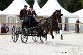 Photo n 35161&#10;CAI Le PIN 2015. Photo Chevalandrieu&#10;Saskia SIEBERS. Pays-Bas&#10;Affiche 29 fois&#10;Ajoute le 21/09/2015 19:03:02 par Nadinetoudic&#10;&#10;--> Cliquer pour agrandir <--