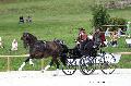 Photo n 35162&#10;CAI Le PIN 2015. Photo Chevalandrieu&#10;Saskia SIEBERS. Pays-Bas&#10;Affiche 25 fois&#10;Ajoute le 21/09/2015 19:03:02 par Nadinetoudic&#10;&#10;--> Cliquer pour agrandir <--
