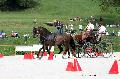 Photo n 35183&#10;CAI Le PIN 2015. Photo Chevalandrieu&#10;Franck EVRARD BRUNEEL. France&#10;Affiche 22 fois&#10;Ajoute le 29/09/2015 11:51:48 par Nadinetoudic&#10;&#10;--> Cliquer pour agrandir <--