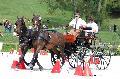 Photo n 35184&#10;CAI Le PIN 2015. Photo Chevalandrieu&#10;Franck EVRARD BRUNEEL. France&#10;Affiche 11 fois&#10;Ajoute le 29/09/2015 11:51:48 par Nadinetoudic&#10;&#10;--> Cliquer pour agrandir <--