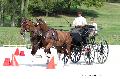 Photo n 35185&#10;CAI Le PIN 2015. Photo Chevalandrieu&#10;Fabien GUILLEMARRE. France&#10;Affiche 47 fois&#10;Ajoute le 29/09/2015 11:51:48 par Nadinetoudic&#10;&#10;--> Cliquer pour agrandir <--