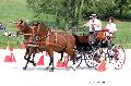 Photo n 35187&#10;CAI Le PIN 2015. Photo Chevalandrieu&#10;Bernard POUVREAU. France&#10;Affiche 30 fois&#10;Ajoute le 29/09/2015 11:51:48 par Nadinetoudic&#10;&#10;--> Cliquer pour agrandir <--