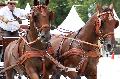 Photo n 35188&#10;CAI Le PIN 2015. Photo Chevalandrieu&#10;Bernard POUVREAU. France&#10;Affiche 19 fois&#10;Ajoute le 29/09/2015 11:51:48 par Nadinetoudic&#10;&#10;--> Cliquer pour agrandir <--