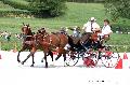 Photo n 35189&#10;CAI Le PIN 2015. Photo Chevalandrieu&#10;Bernard POUVREAU. France&#10;Affiche 16 fois&#10;Ajoute le 29/09/2015 11:51:48 par Nadinetoudic&#10;&#10;--> Cliquer pour agrandir <--