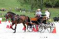 Photo n 35190&#10;CAI Le PIN 2015. Photo Chevalandrieu&#10;Mark WENTEIN. Belgique&#10;Affiche 11 fois&#10;Ajoute le 29/09/2015 11:51:48 par Nadinetoudic&#10;&#10;--> Cliquer pour agrandir <--