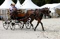 Photo n 35191&#10;CAI Le PIN 2015. Photo Chevalandrieu&#10;Mark WENTEIN. Belgique&#10;Affiche 14 fois&#10;Ajoute le 29/09/2015 11:51:48 par Nadinetoudic&#10;&#10;--> Cliquer pour agrandir <--