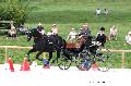 Photo n 35193&#10;CAI Le PIN 2015. Photo Chevalandrieu&#10;Franz SCHILTZ. Luxembourg&#10;Affiche 15 fois&#10;Ajoute le 29/09/2015 11:51:48 par Nadinetoudic&#10;&#10;--> Cliquer pour agrandir <--