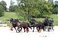 Photo n 35194&#10;CAI Le PIN 2015. Photo Chevalandrieu&#10;Harry STREUTKER. Pays-Bas&#10;Affiche 16 fois&#10;Ajoute le 29/09/2015 12:01:58 par Nadinetoudic&#10;&#10;--> Cliquer pour agrandir <--