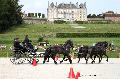 Photo n 35195&#10;CAI Le PIN 2015. Photo Chevalandrieu&#10;Harry STREUTKER. Pays-Bas&#10;Affiche 13 fois&#10;Ajoute le 29/09/2015 12:01:58 par Nadinetoudic&#10;&#10;--> Cliquer pour agrandir <--