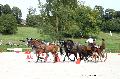 Photo n 35196&#10;CAI Le PIN 2015. Photo Chevalandrieu&#10;Patrice BAGILET. France&#10;Affiche 10 fois&#10;Ajoute le 29/09/2015 12:01:58 par Nadinetoudic&#10;&#10;--> Cliquer pour agrandir <--
