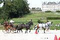Photo n 35197&#10;CAI Le PIN 2015. Photo Chevalandrieu&#10;Patrice BAGILET. France&#10;Affiche 12 fois&#10;Ajoute le 29/09/2015 12:01:58 par Nadinetoudic&#10;&#10;--> Cliquer pour agrandir <--