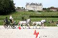 Photo n 35199&#10;CAI Le PIN 2015. Photo Chevalandrieu&#10;Daniel NAPROUS. Grande-Bretagne&#10;Affiche 17 fois&#10;Ajoute le 29/09/2015 12:01:58 par Nadinetoudic&#10;&#10;--> Cliquer pour agrandir <--