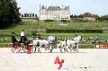 Photo n 35201&#10;CAI Le PIN 2015. Photo Chevalandrieu&#10;Jos RICHE. Belgique&#10;Affiche 15 fois&#10;Ajoute le 29/09/2015 12:01:58 par Nadinetoudic&#10;&#10;--> Cliquer pour agrandir <--