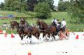 Photo n 35205&#10;CAI Le PIN 2015. Photo Chevalandrieu&#10;Anthony HORDE. France&#10;Affiche 10 fois&#10;Ajoute le 29/09/2015 12:01:58 par Nadinetoudic&#10;&#10;--> Cliquer pour agrandir <--