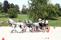 Photo n 35206&#10;CAI Le PIN 2015. Photo Chevalandrieu&#10;Peter VAN DEN OUWELAND. Belgique&#10;Affiche 15 fois&#10;Ajoute le 29/09/2015 12:01:58 par Nadinetoudic&#10;&#10;--> Cliquer pour agrandir <--