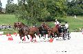 Photo n 35208&#10;CAI Le PIN 2015. Photo Chevalandrieu&#10;Fabrice MARTIN. France&#10;Affiche 13 fois&#10;Ajoute le 29/09/2015 12:01:58 par Nadinetoudic&#10;&#10;--> Cliquer pour agrandir <--