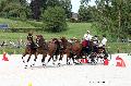 Photo n 35210&#10;CAI Le PIN 2015. Photo Chevalandrieu&#10;Fabrice MARTIN. France&#10;Affiche 28 fois&#10;Ajoute le 29/09/2015 12:01:58 par Nadinetoudic&#10;&#10;--> Cliquer pour agrandir <--