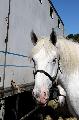 Photo n 35261&#10;THURY-HARCOURT 2015. Photo Chevalandrieu&#10;&#10;Affiche 12 fois&#10;Ajoute le 05/10/2015 14:08:23 par Nadinetoudic&#10;&#10;--> Cliquer pour agrandir <--