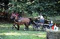 Photo n 35262&#10;THURY-HARCOURT 2015. Photo Chevalandrieu&#10;M. HODEMOND. Equipe Trait Normand&#10;Affiche 18 fois&#10;Ajoute le 05/10/2015 14:08:24 par Nadinetoudic&#10;&#10;--> Cliquer pour agrandir <--